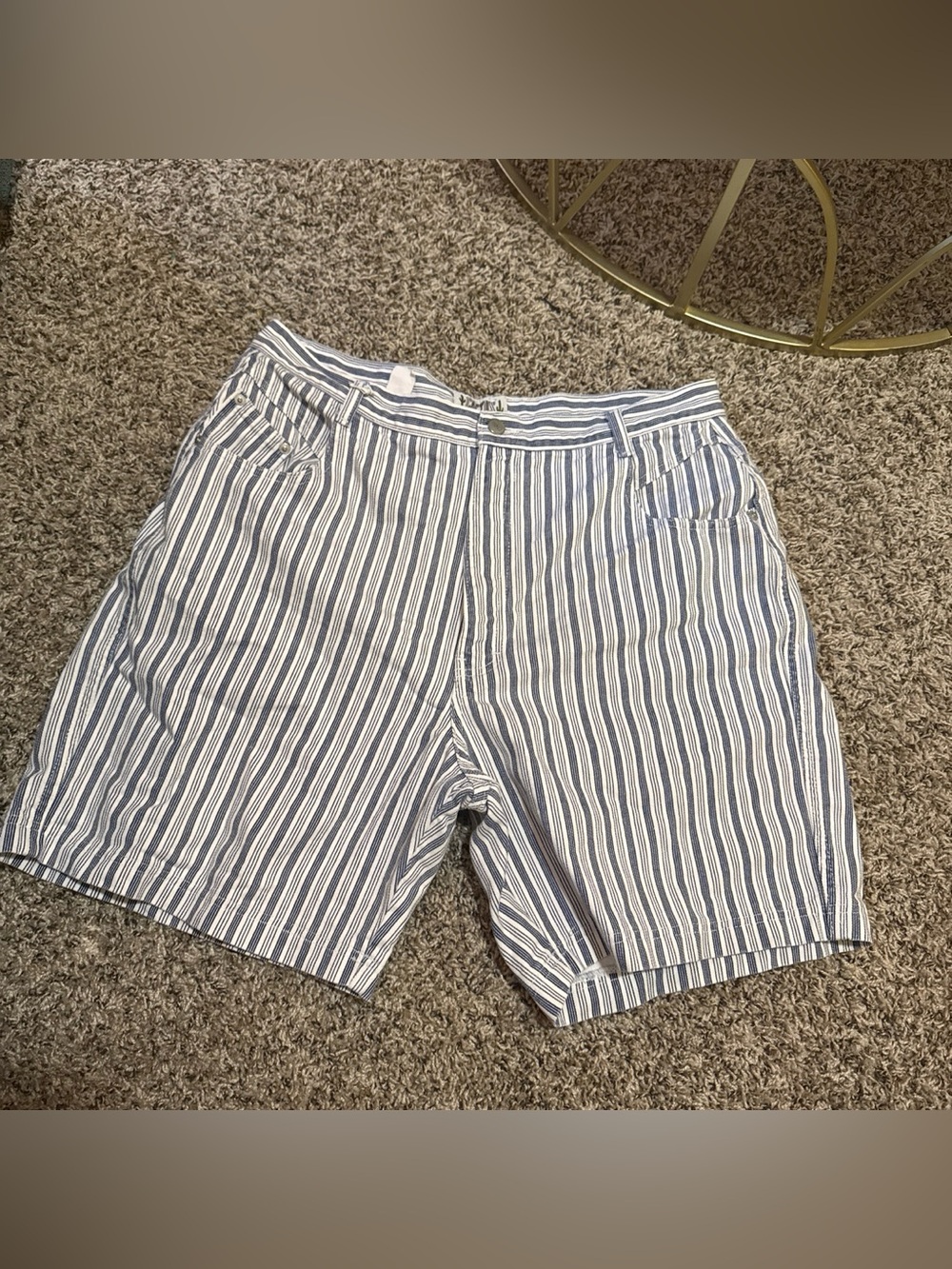 Vintage Cactus Striped Jean Shorts